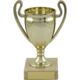 Football Trophy -203mm