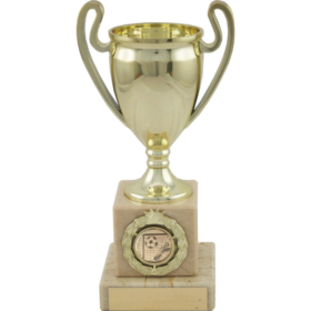 Football Trophy -190mm