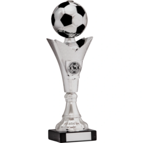 Football Trophy 300mm