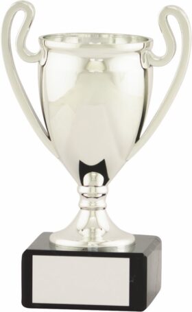 Football Trophy -190mm
