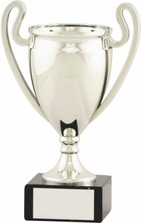 Football Trophy 240mm