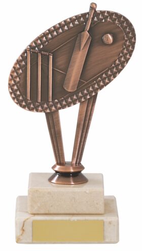 Cricket Trophy 165mm