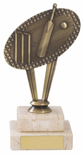 Cricket Trophy 165mm
