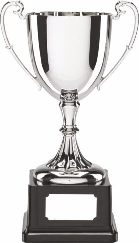 Nickel Plated Cup - 190mm