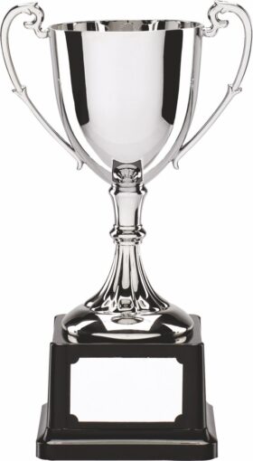 Nickel Plated Cup - 200mm