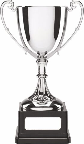 Nickel Plated Cup - 290mm