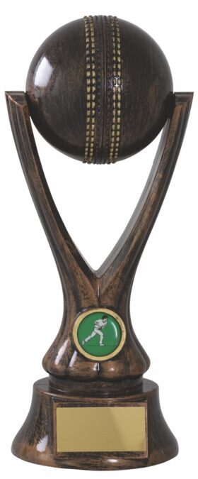 Cricket Trophy 260mm