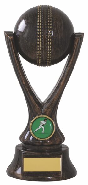 Cricket Trophy 205mm