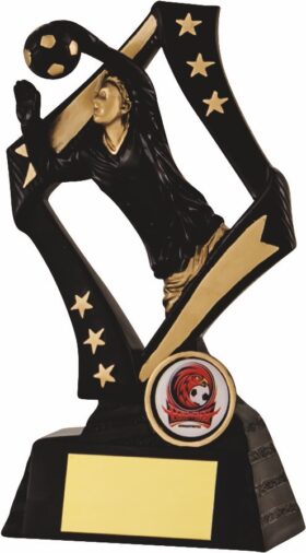 Goalkeeper -Black/ Gold-170mm