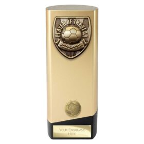 Prime Cobra Player of Year Award Gold & Black 190mm