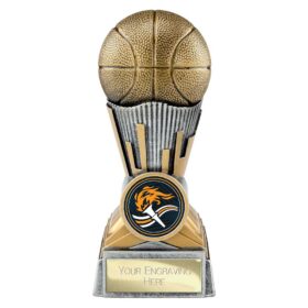 Digital Basketball Award Antique Silver & Gold 125mm