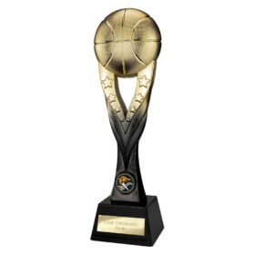 Extreme Basketball Gold & Carbon Black 290mm