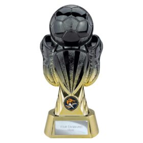 Tournament Football Heavyweight Carbon Black & Gold 245mm