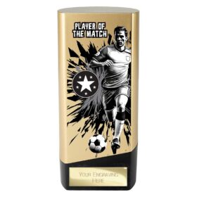 Prime Heavyweight Player of the Match Gold & Black 160mm
