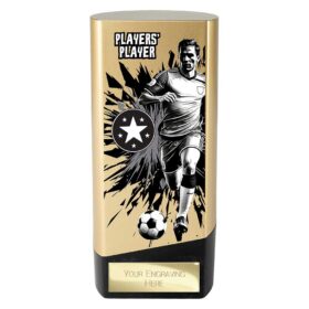 Prime Heavyweight Players Player Gold & Black 160mm