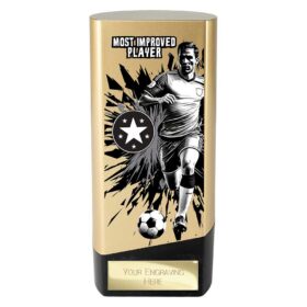 Prime Heavyweight Most Improved Player Gold & Black 160mm