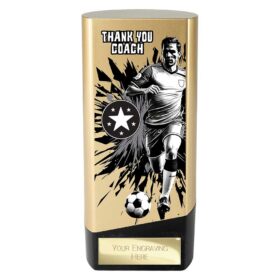 Prime Heavyweight Thank you coach Gold & Black 160mm