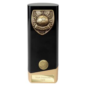 Prime Cobra Player of Year Award Black & Gold 190mm