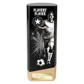 Prime Heavyweight Players Player Black & Gold 190mm