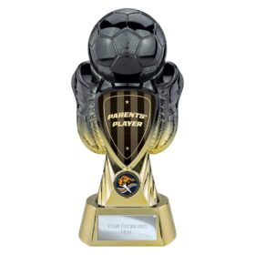 Tournament Heavyweight Parents Player Carbon Black & Gold 245mm
