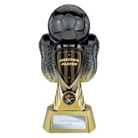 Tournament Heavyweight Coaches Player Carbon Black & Gold 280mm