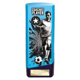 Prime Heavyweight Coaches Player Blue & Purple 190mm