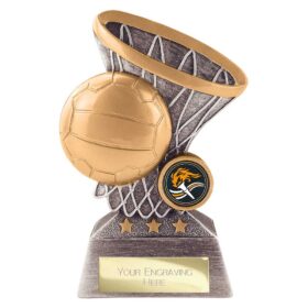 Smash Netball Award Antique Silver & Gold 160mm