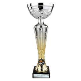 Hyper Trophy Silver & Gold 285mm