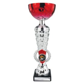 Energy Trophy Red & Silver 275mm