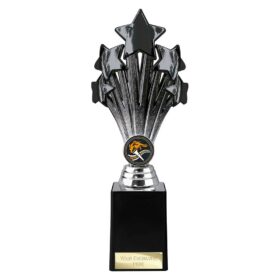 5 Star Trophy Black and Silver 245mm