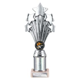 5 Star Multisport Tube Trophy Silver 240mm