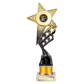 Innov8 Multisport Tube Trophy Gold & Black 250mm