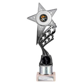 Innov8 Multisport Tube Trophy Silver & Black 250mm