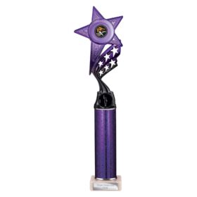Innov8 Multisport Tube Trophy Purple & Black 375mm