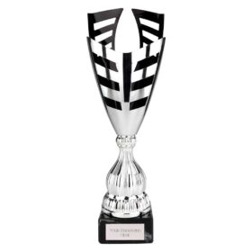 Paramount Laser Cup Silver & Black 400mm