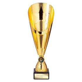 Rising Stars Deluxe Plastic Lazer Cup Gold 315mm